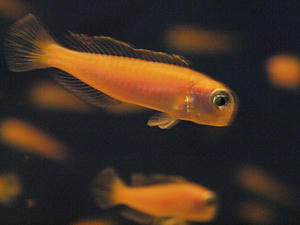 510shuusei.jpg