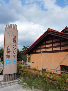 1195shuusei.jpg