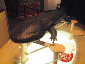 1262shuusei.jpg