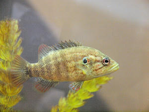 1209shuusei.jpg