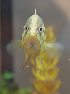 1207shuusei.jpg