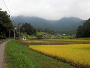 1322shukushou.jpg