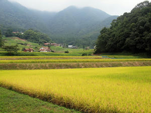 1321shukushou.jpg