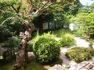 1464shuusei.jpg