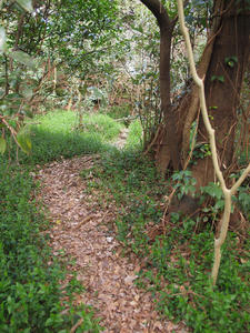 P2260758shuusei.jpg