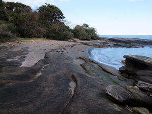 P2260762shuusei.jpg