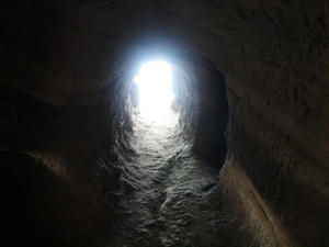 P2260773shuusei.jpg