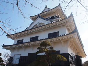 P2260880shukushou.jpg