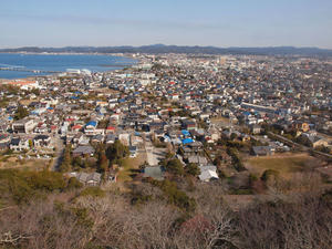 P2260833shukushou.jpg