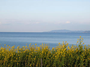 P2261339shuusei.jpg
