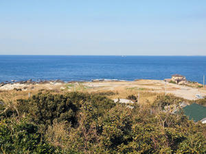 P2260898shuusei.jpg