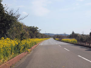 P2260905shuusei.jpg