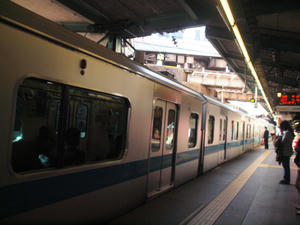 P1012723shukshoi.jpg