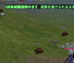 2010y06m10d_205247501.jpg