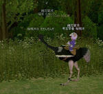 2011y08m31d_024757162.jpg