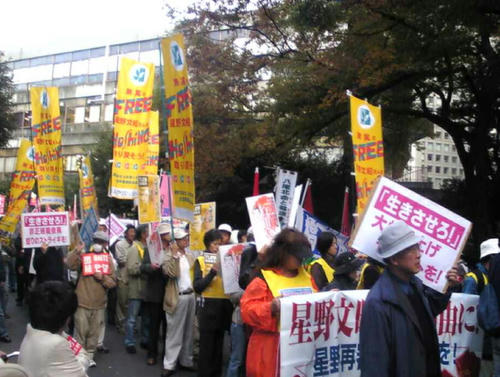 demo-hoshino.jpg