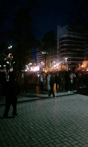 20100109-3.jpg