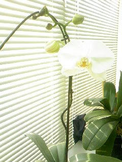 PA0_0395.JPG