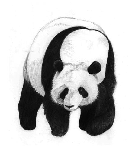 20100914_panda.jpg