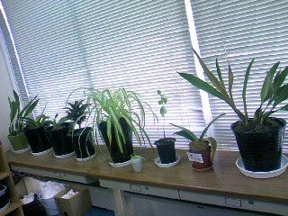 PA0_0400.JPG
