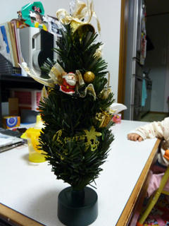 P1010564.JPG