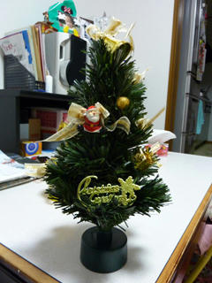 P1010565.JPG