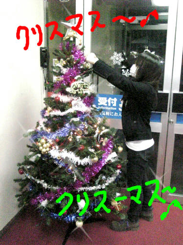 クリスマスツリー