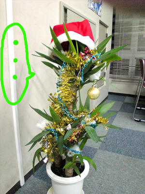 青年の樹クリスマスバージョン