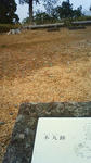 201001111035000.jpg