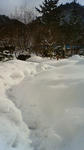 201001241001002.jpg
