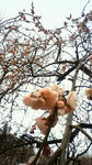 201003071221000.jpg