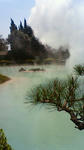 201004041035000.jpg