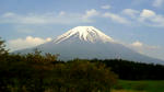 201005091333000.jpg