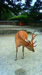 201007111005000.jpg