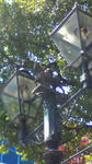 201008061153000.jpg