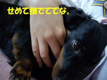 090614_3.jpg