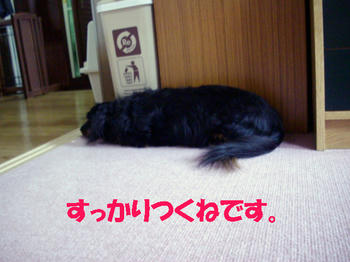 090614_4.jpg