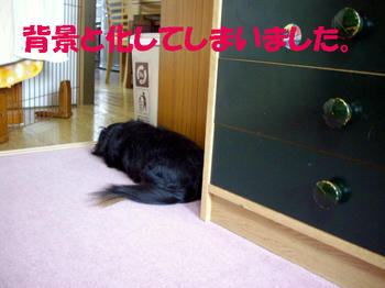 090614_8.jpg