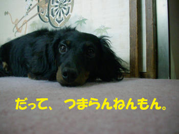 090614_9.jpg