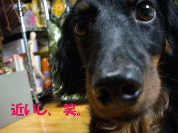 090615_6.jpg
