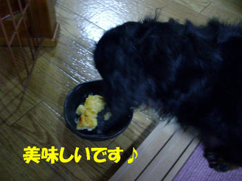 090621_6.jpg