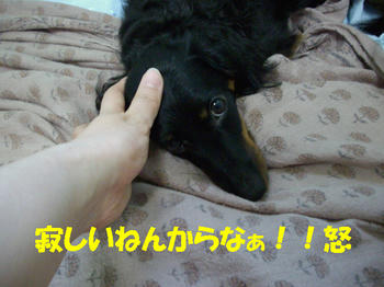 090620_4.jpg