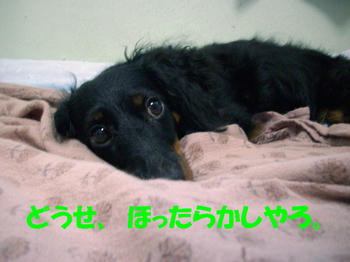 090620_3.jpg