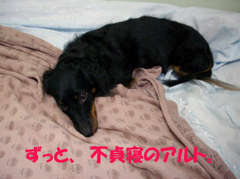 090620_2.jpg