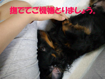 090628_3.jpg