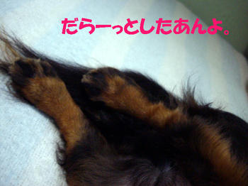 090628_5.jpg