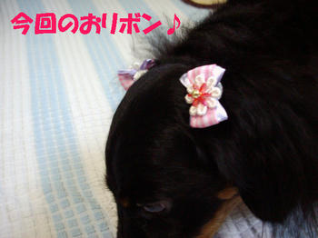 090704_4.jpg