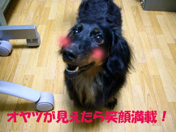 090705_1.jpg