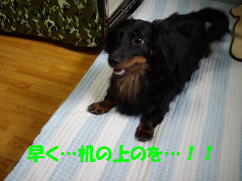 090705_3.jpg