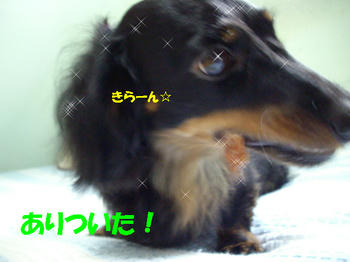 090705_4.jpg